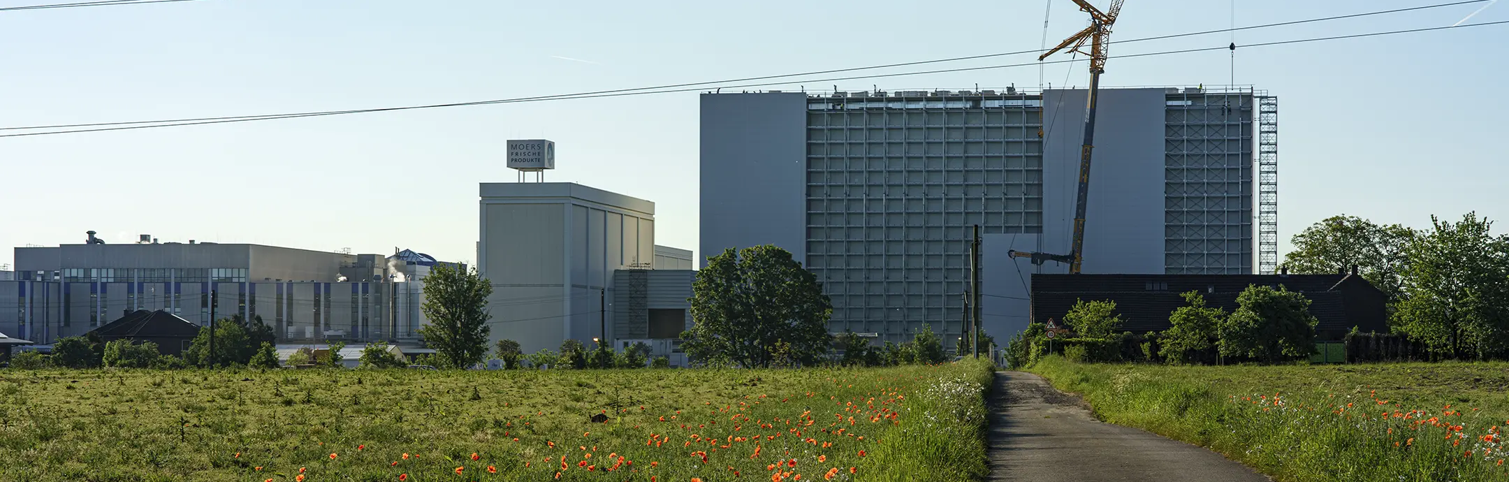 S325G – Cold-Rolled Construction Steel