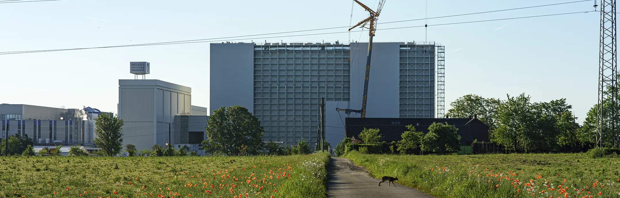 S245G – Kaltgewalzter Baustahl